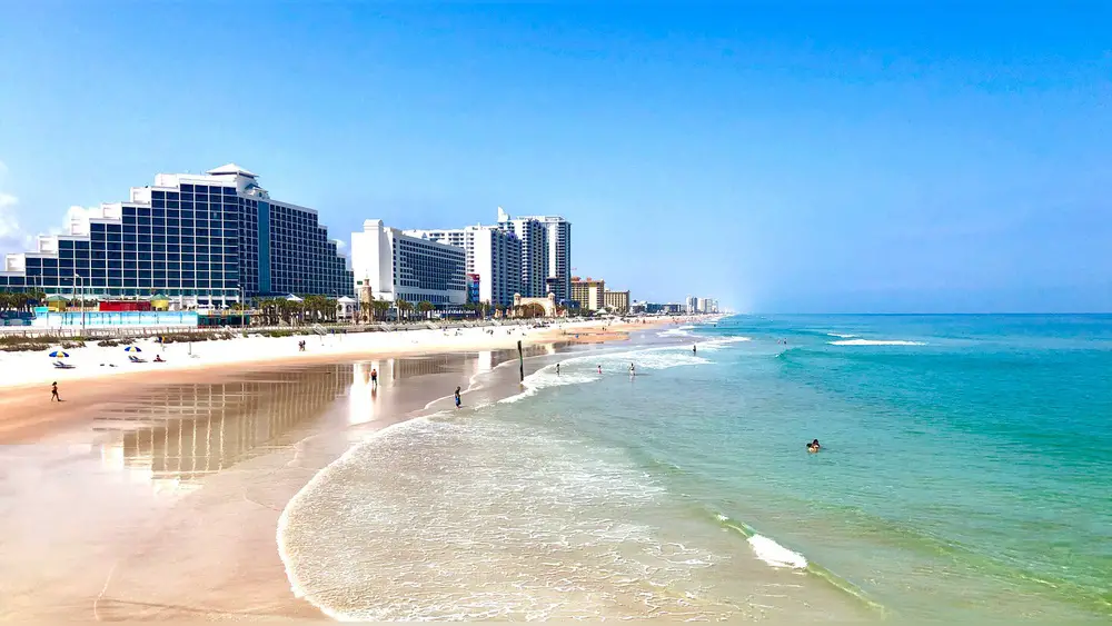 best time to plant bushes in daytona beach florida