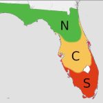 best time to plant citrus trees in south florida