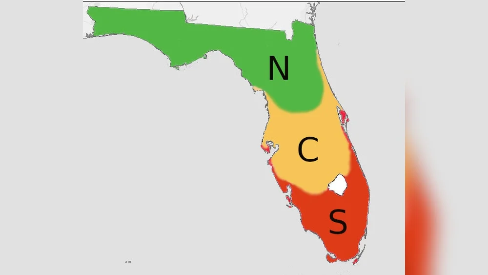 Best Time to Plant Citrus Trees in South Florida: Expert Tips 1 best time to plant citrus trees in south florida