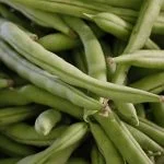 best time to plant green beans in florida