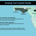 best time to plant sod in north florida