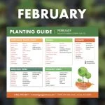 best time to plant south florida