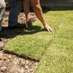 best time to plant zoysia sod in florida