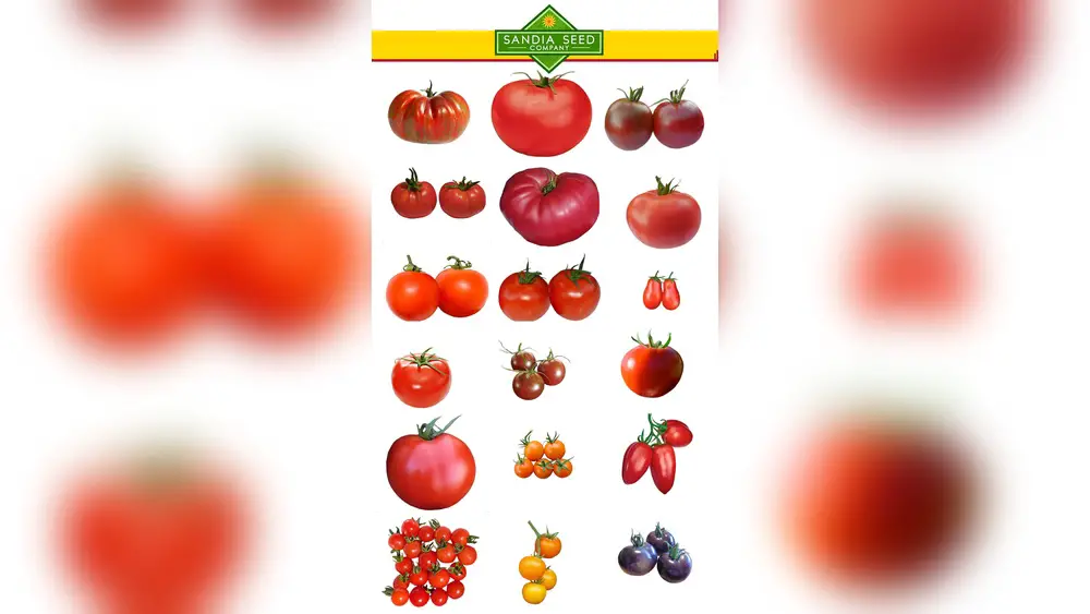 Best Tomato Seed Company in Florida: Top Picks for Gardeners 1 best tomato seed company in florida
