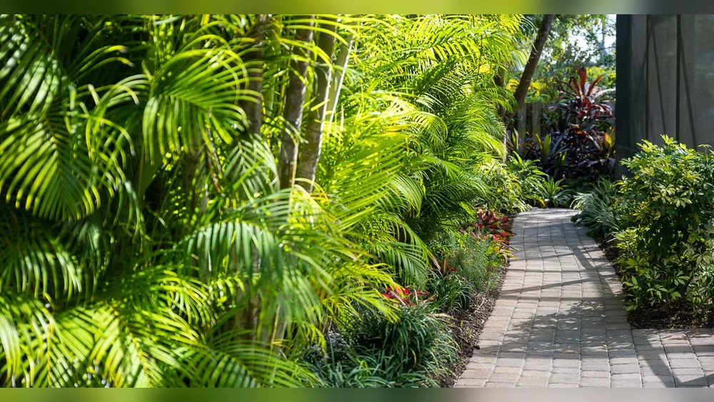 best tropical plants for north florida
