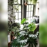 best way to heat my florida room for plants