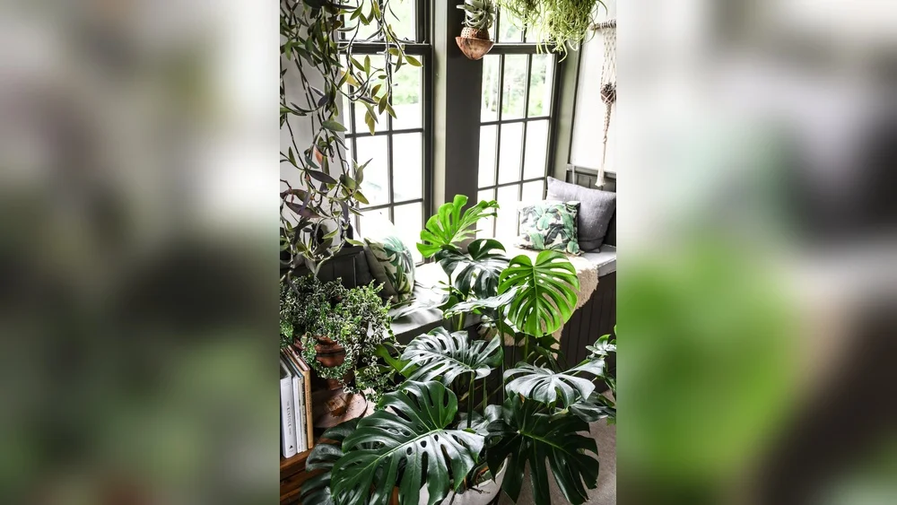 best way to heat my florida room for plants