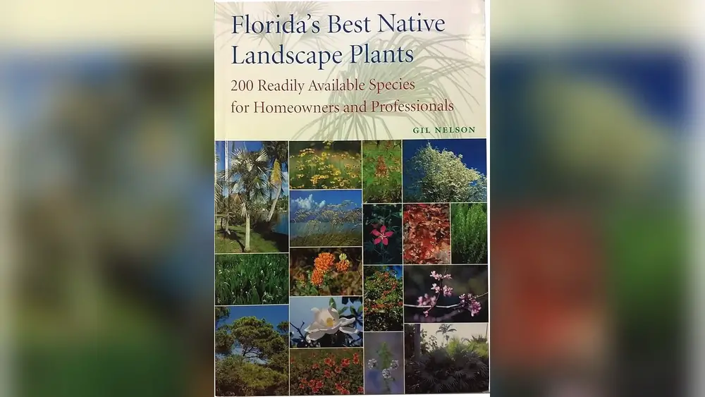 book best landscaping plants for florida