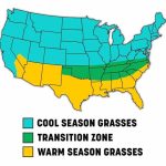 cental florida best time to plant grass