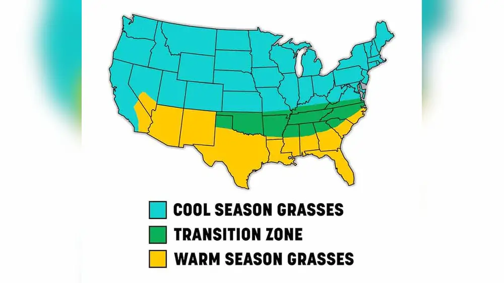Cental Florida Best Time to Plant Grass: Ultimate Guide for Lush Lawns 1 cental florida best time to plant grass