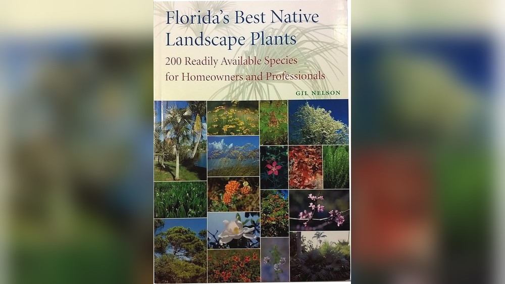 florida best native landscape plants