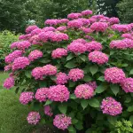 generate an eye catching high quality featured im 1759419477