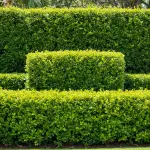 generate an eye catching high quality featured im 1759428609