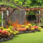 low maintenance tropical plants florida