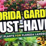 top 10 best plants for south florida landscape