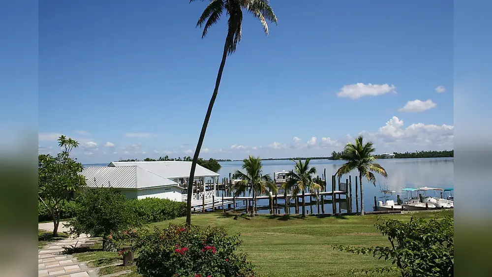 top 10 best plants for the florida keys