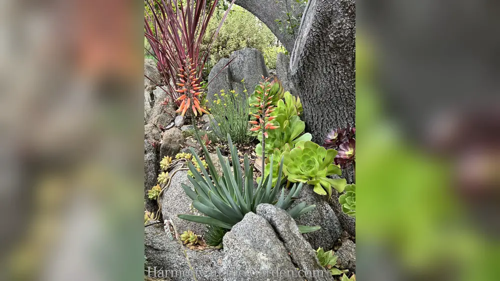 top 10 best plants for under oak trees florida