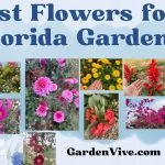 what helps plants grow the best in florida