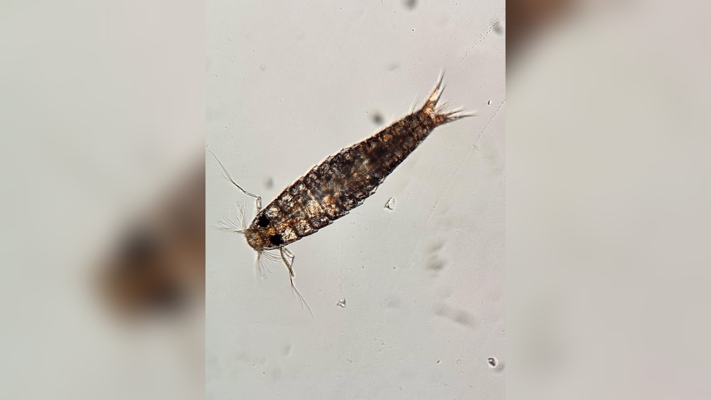 best internet in south florida