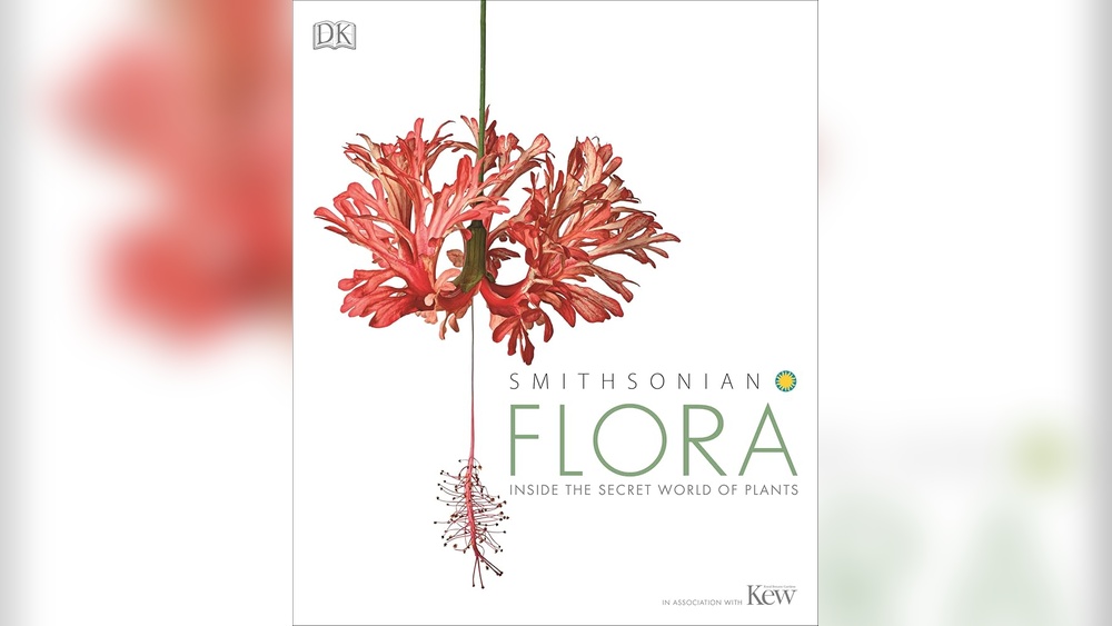 flora inside the secret world of plants kendle