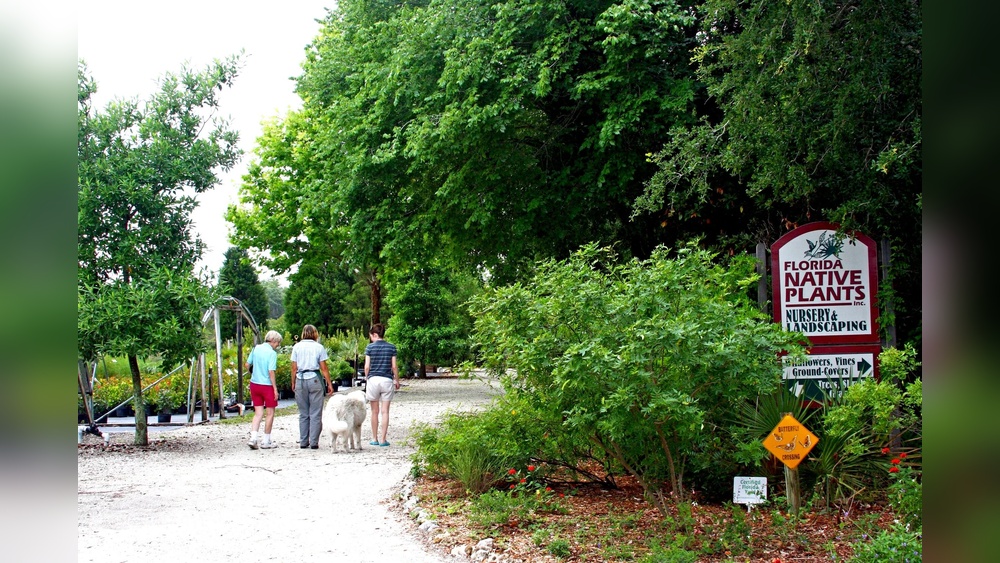 florida native plants and trees