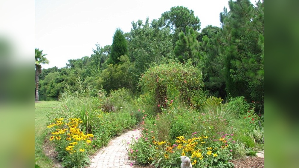 Florida Native Plants for Landscaping: Top Low-Maintenance Picks