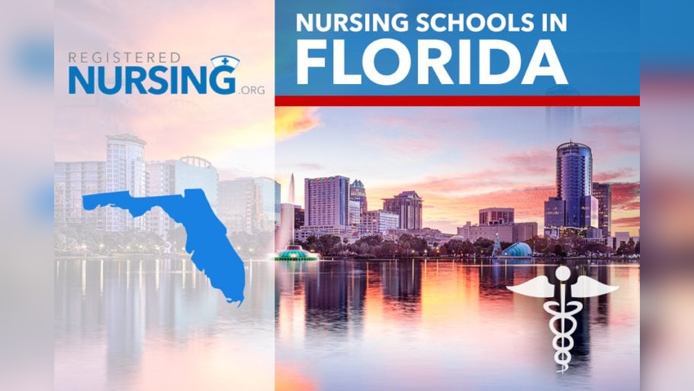 the best nursing schools in florida