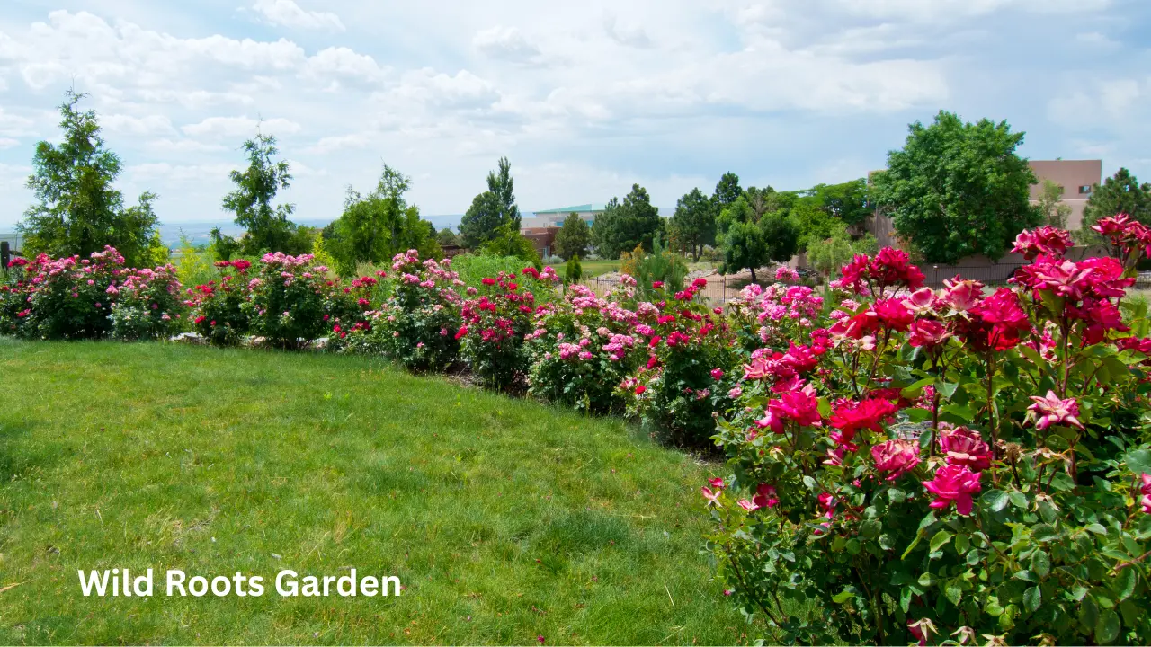 10 Best Flowers to Grow in Florida: Year-Round Floral Delights to Cultivate