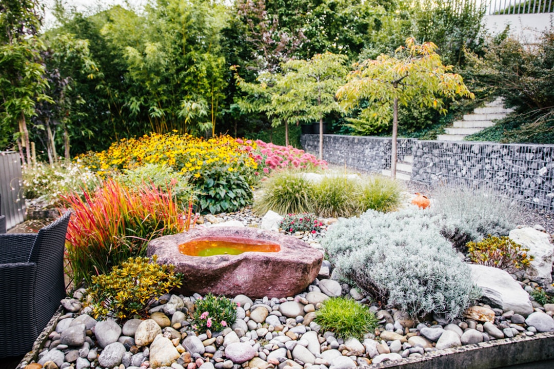 A beautifully landscaped garden with a water feature