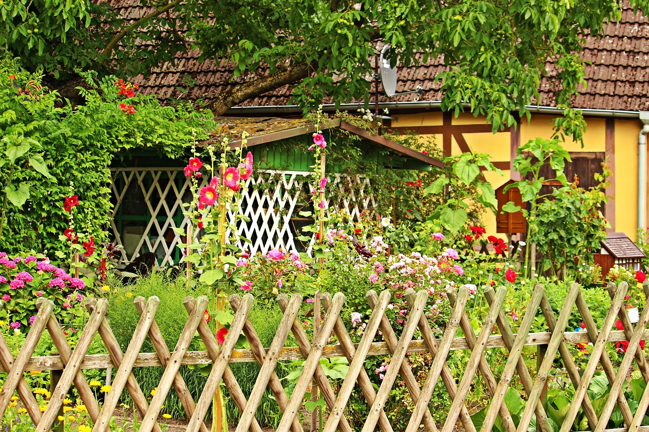 garden, cottage garden, beautiful flowers, fence, flower background, flower wallpaper, hollyhocks, plants, flower, blossoms, nature, summer