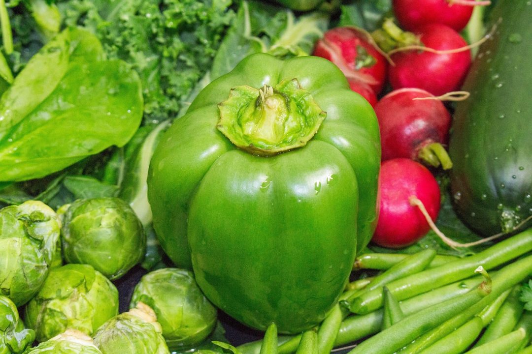 What Vegetables Grow Best in North Florida: Top Picks for Thriving Gardens