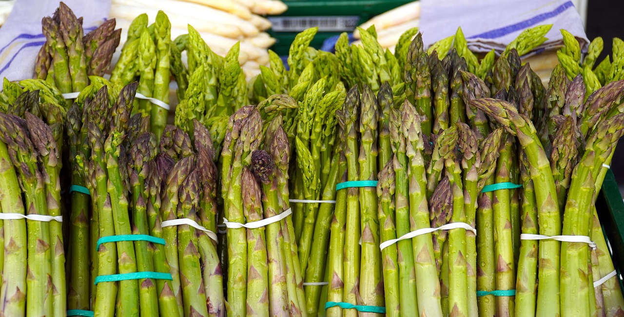 Best Asparagus to Grow in Florida: Top Heat-Tolerant Varieties Revealed