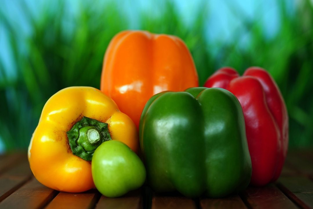 Best Bell Peppers to Grow in Florida: Top Varieties for Success