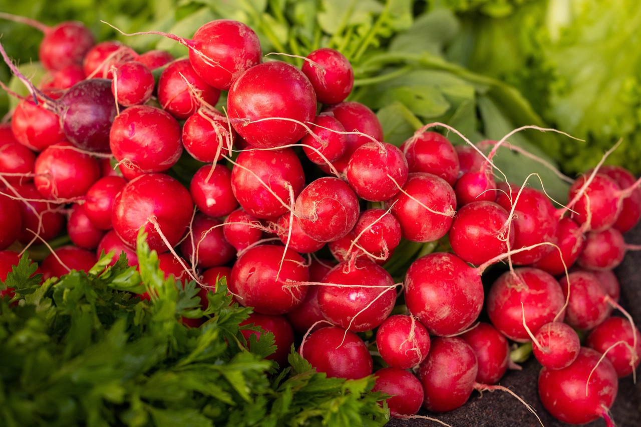 radishes, vegetables, market, root crops, fresh radishes, fresh produce, produce