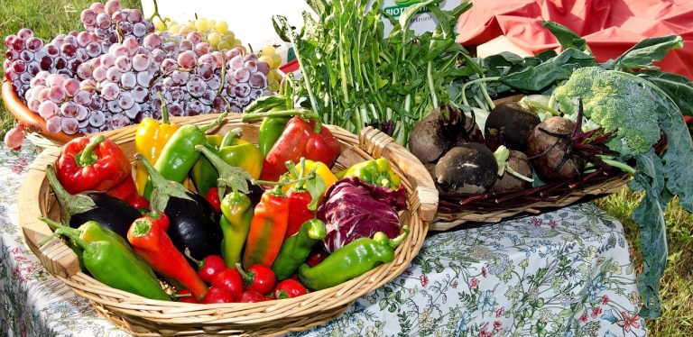Best Vegetables To Grow In Florida Spring Bountiful Harvest