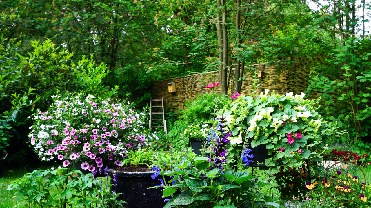 10 Best Outdoor Plants for Texas Winter Season