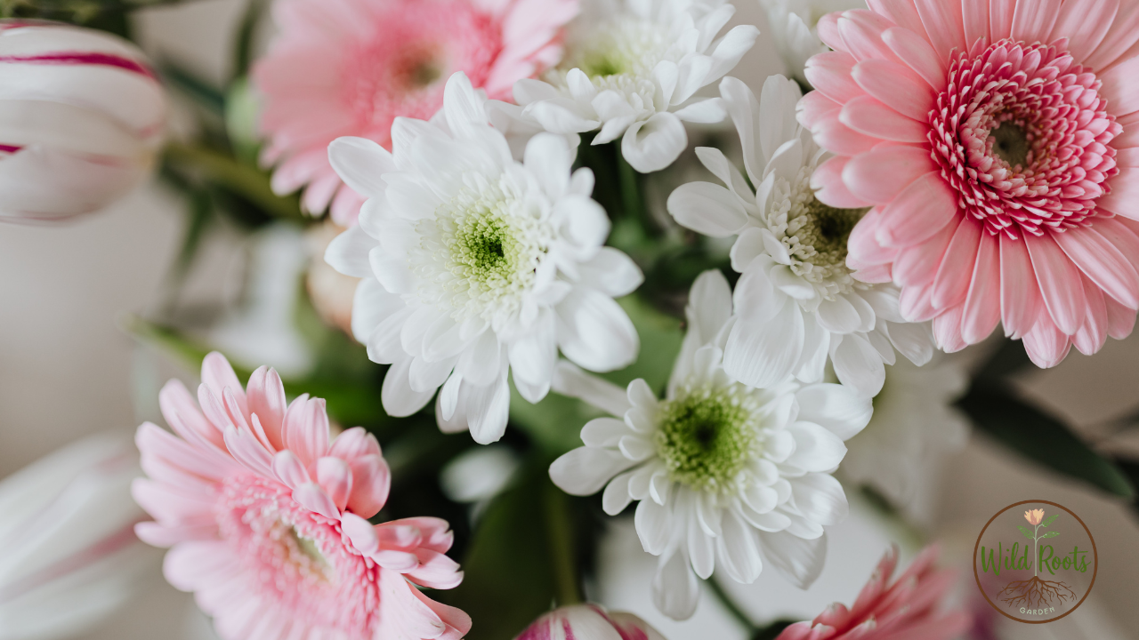 Best Flowers to Grow North East Florida