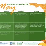 best seeds to grow in florida