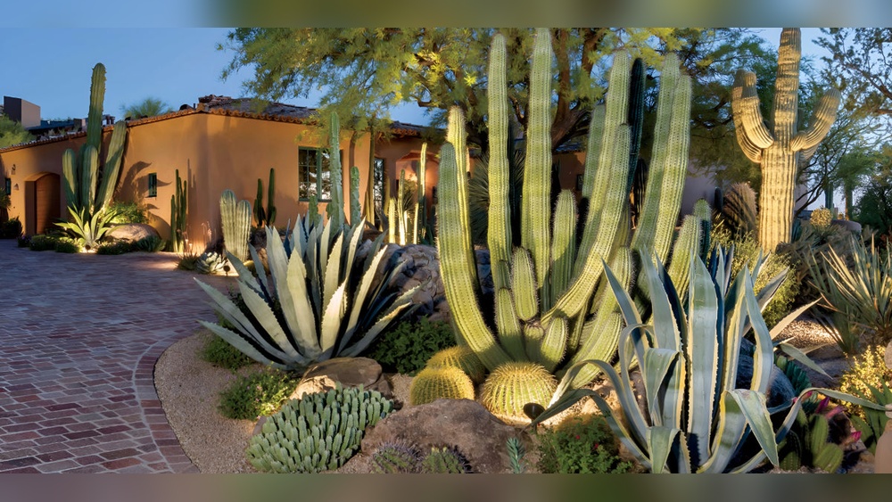 Plants for Texas Winter Season