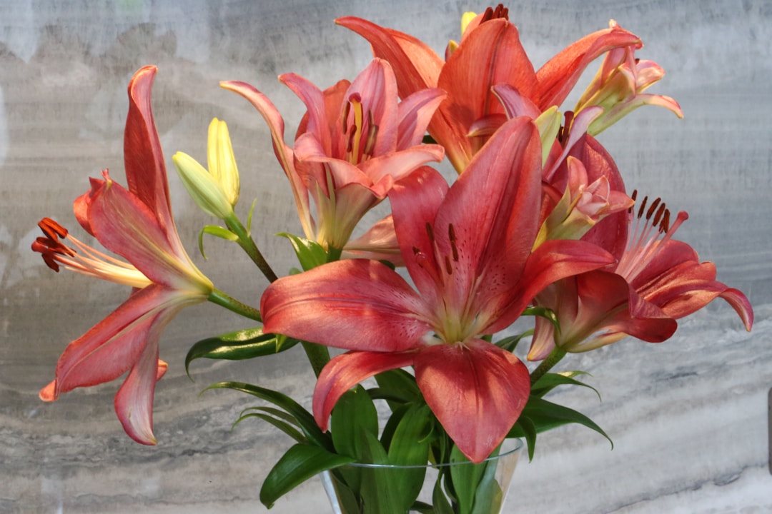a group of flowers