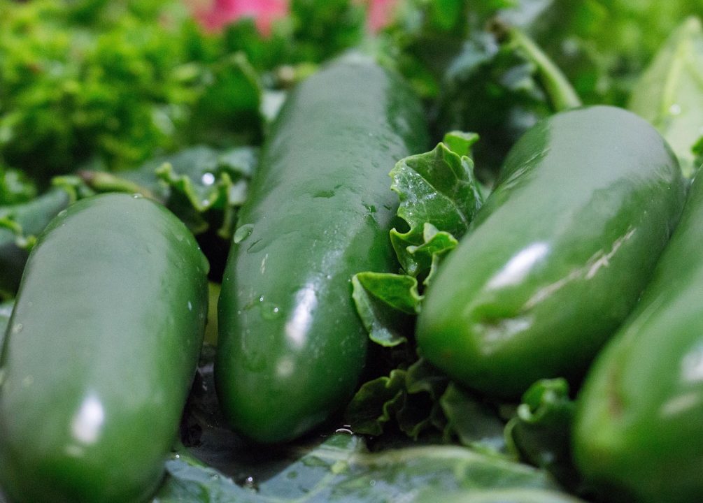 Best Fruits And Vegetables to Grow in Central Florida: Ultimate Guide