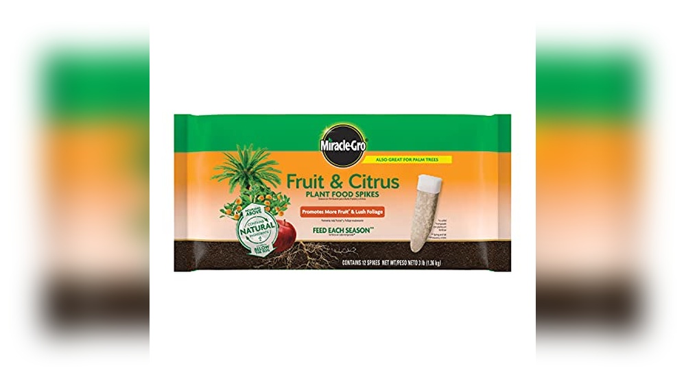 best fertilizer for fruit plants