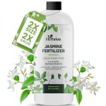 best fertilizer for jasmine plants