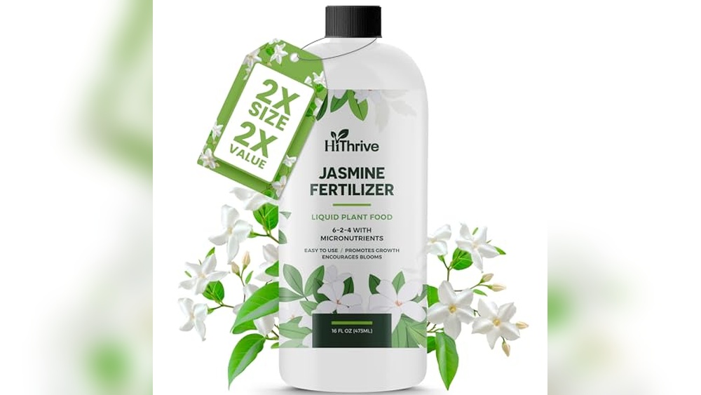 best fertilizer for jasmine plants