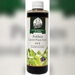 best fertilizer for pothos plants