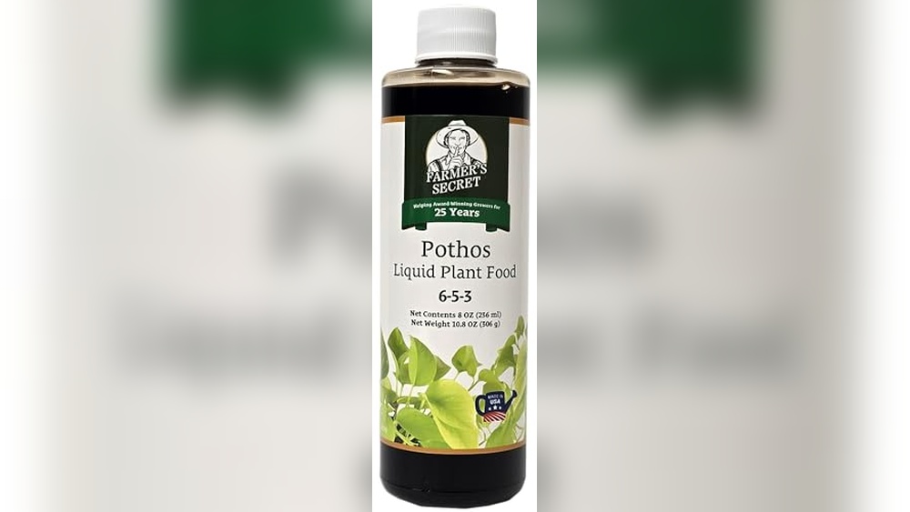 best fertilizer for pothos plants