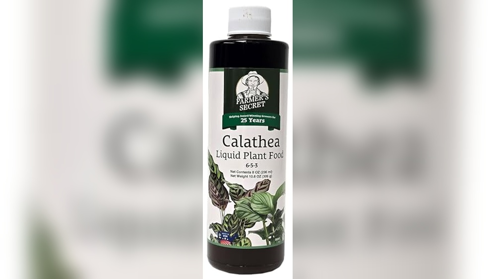 best fertilizer for prayer plants