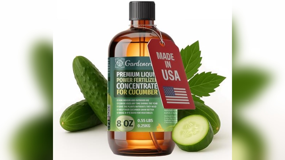 best food for cucumber plants