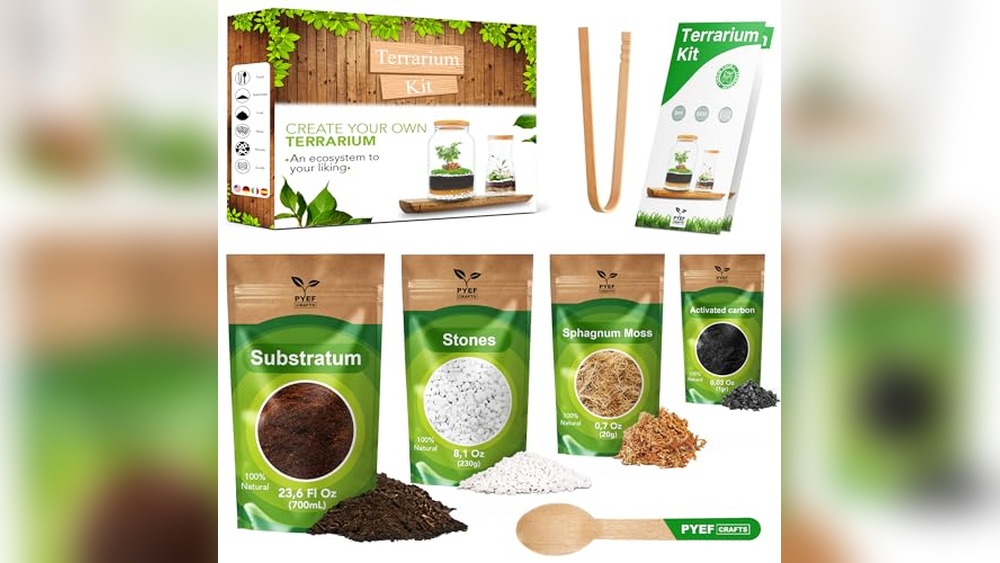 best plants for closed terrariums