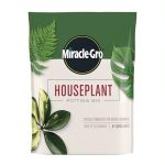 best potting soil indoor plants